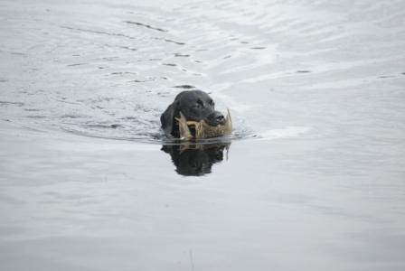Badger 2006-09-06