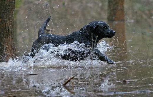 Full fart! Passande bild efter en regning sommar!