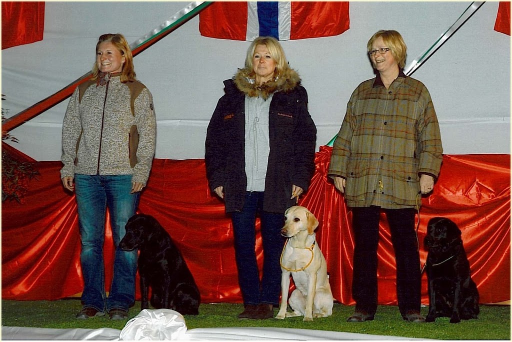 Har ar vi