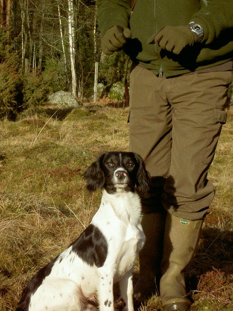 Här kommer en bild på Skye!