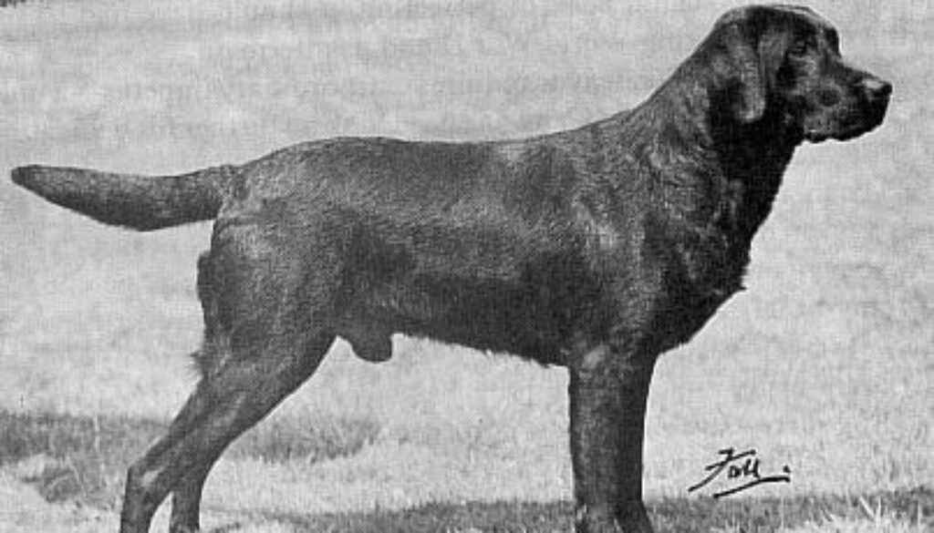 FTCh_Banchory_Ben1927