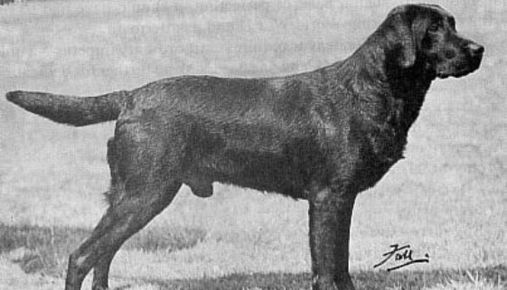 FTCh_Banchory_Ben1927 FTCh_Banchory_Ben1927