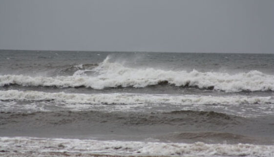havet havet