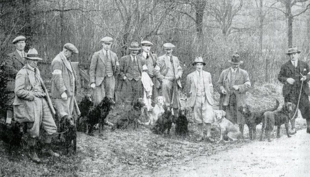labradorClubtrial1935december