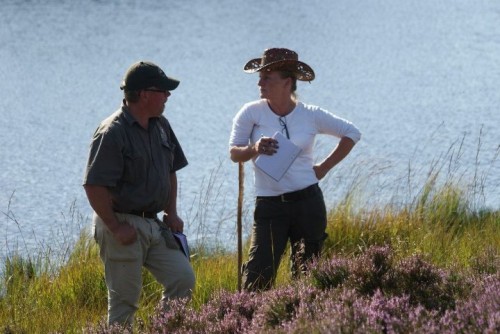 Birgitta, domaruppdrag i Danmark 2012