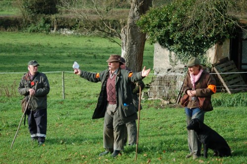 Golden Vale Gundog Club