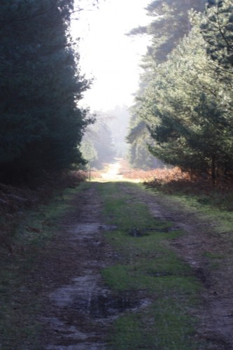 walkinf