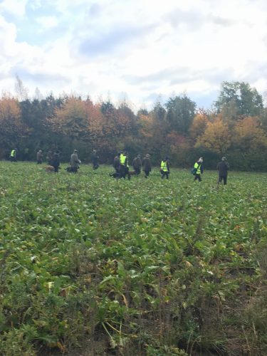 Stora Markie Vinnarklass 23.10