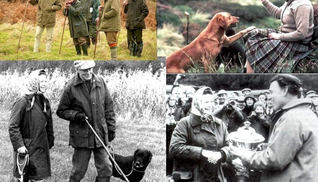 Labradoren dess historia och exteriör – något som intresserar mig mycket