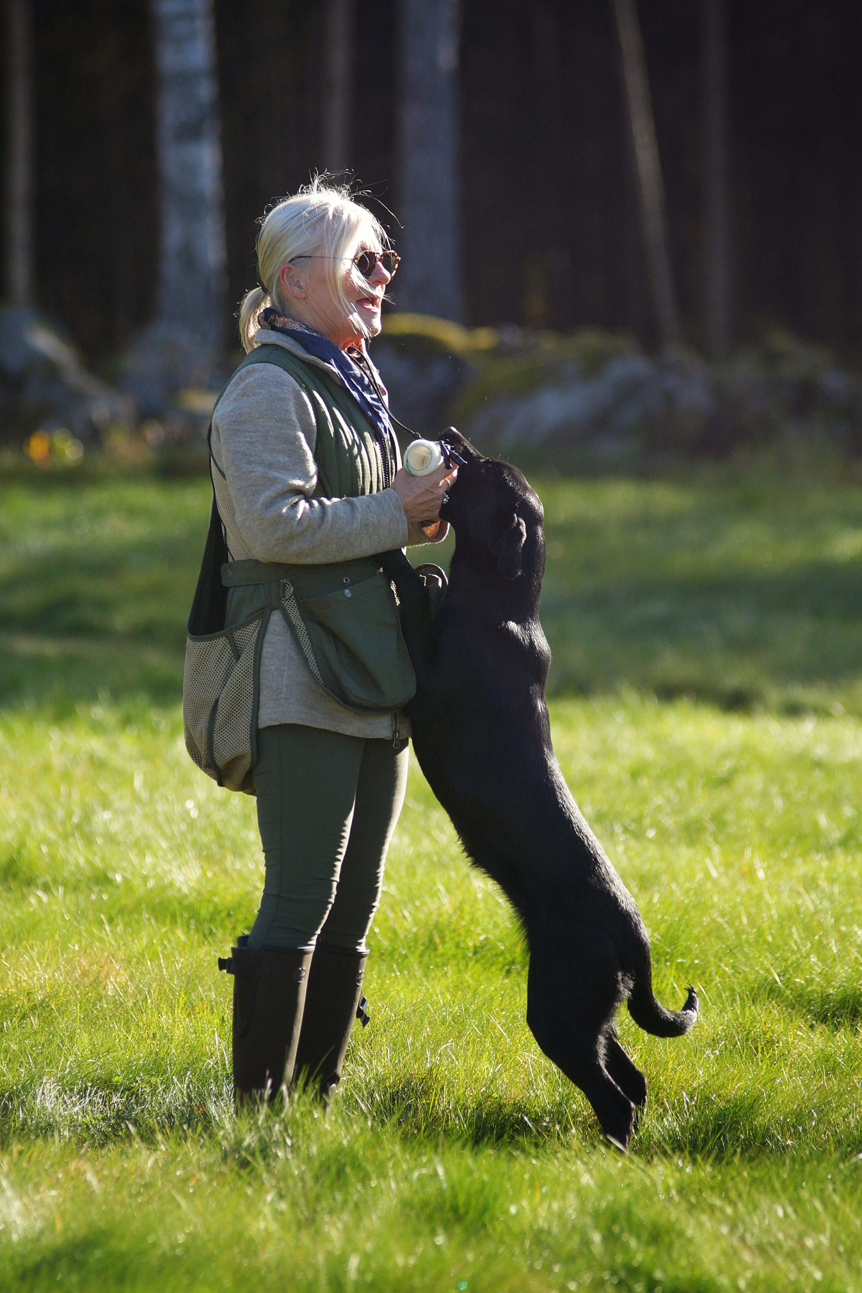 FRÅN VALP TILL UNGHUND